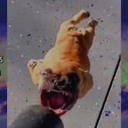 Ironic Memes Compilation Fourth Edition