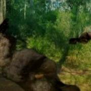 Dinosaurs In Forest Stop Motion Dinosaur