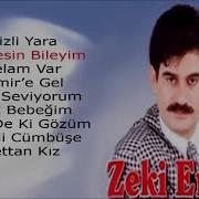 Zeki Erdem Nerdesin Bileyim