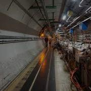 Podcast Vaping Concerns Medical Detection Dogs And A Visit To CERN
