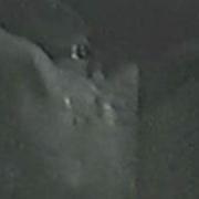 GG Allin Garbage Dump