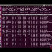 Screen Command In Linux With Examples