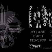 Disclose Scarred For Life Split 7 Inch EP 2007