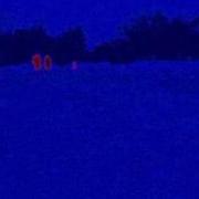 Predator Heat Vision