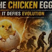 The Chicken Egg It Defies Evolution