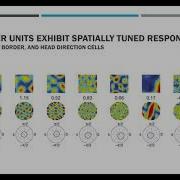Vector Based Navigation Using Grid Like Representations In Artificial Agents