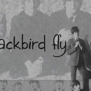 The Beatles Blackbird Lyrics
