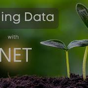 Seeding Data With DotNet