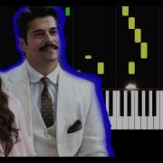 Çalıkuşu Lovebird Королёк птичка певчая Slow Easy Piano Tutorial