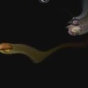 Apparition Special Effect Using Game Maker Surfaces