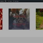 Ultimate Hover Effects Tutorial