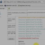 WEBGOAT V5 3 Bypass Client Side JavaScript Validation