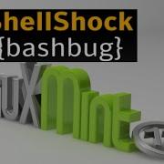 Protect Your System With Shellshock Bash Vulnerability Linux Mint Ubuntu