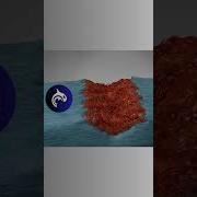 Soft Tissue Healing Process 3D Animation Anatomy Healing Muscle