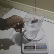 Physics 14 Buoyancy Lab Instructions