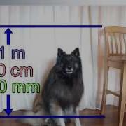 Metric Length Math Is Fun