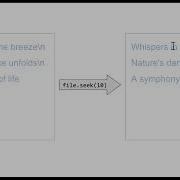 Move File Pointer Position Python