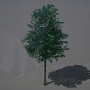 UE4 Foliage Pack Vol 2 Trees By Digital Animation Services