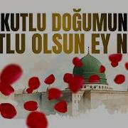 KUTLU DOĞUMUN KUTLU OLSUN EY NEBÎ Özel Yayın