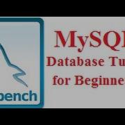 Beginners MYSQL Database Tutorial 5 MySQL WHERE Clause Statement Query