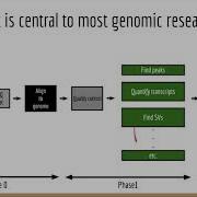 Applied Computational Genomics 05 Sequence Mapping And Alignment Methods And Considerations
