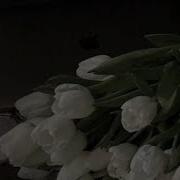 Isabel LaRosa I M Yours Lyrics