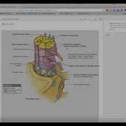 Screencast By Achamess From Screenr Com