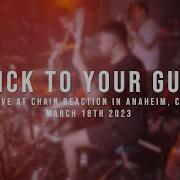 197 Drum Cam Stick To Your Guns 03 18 2023