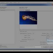 Generate A Sprite Sheet