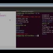 How To Delete Files And Folders In Python