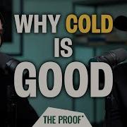 Deliberate Cold Exposure How To Do It RIGHT With Dr Andrew Huberman The Proof Podcast EP 205