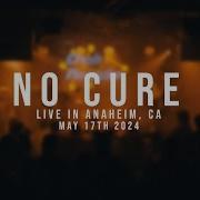 197 Media No Cure 05 17 2024