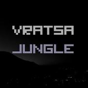 Vratsa Jungle Compilation 2024 2025