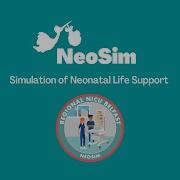 Demonstration Of Neonatal Life Support Simulation