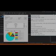Win32 API Payment Analyzer GDI C C