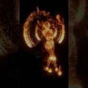 Unity VFX Graph Particle Character Skinned Mesh Shorts