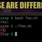 Why Shebangs And Permissions Are Important For Bash Scripts Permissions Can Be Fun