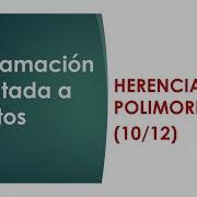 Programación Orientada A Objetos 14 1 Herencia Generalización Parte 1