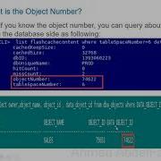 Exadata Smart Flashcache Contents ObjectNumber