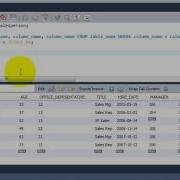 SQL Complete Tutorial AND Keyword For Compound Search Conditions Chapter 20