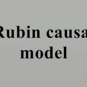 Rubin Causal Model