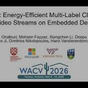 Polymorph Energy Efficient Multi Label Classification For Video Streams On Embedded Devices