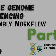 Whole Genome Sequencing Assembly Workflow Part 3 From Zero To Hero