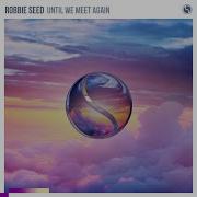 Until We Meet Again Extended Mix