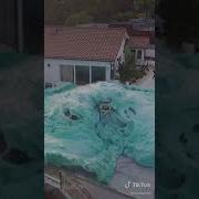 Worlds Largest Elephant Toothpaste Experiment Real TMAX