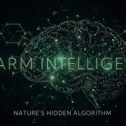 Swarm Intelligence Nature S Hidden Algorithm