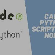 Learn How To Call Python Script From Node JS