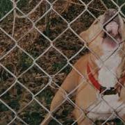Knocked Loose Pop Culture Full Album 2014