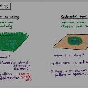 18 8 Random Systematic Sampling Cambridge AS A Level Biology 9700
