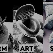 New Objects Under Electron Microscope